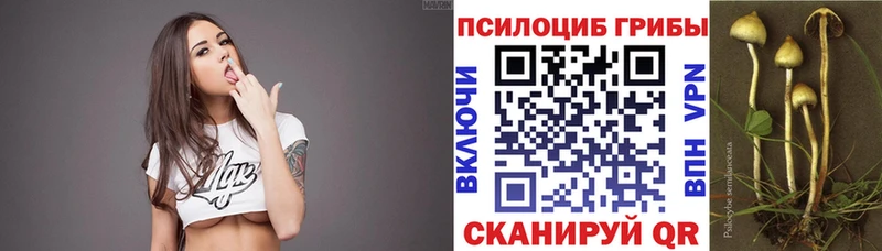 Псилоцибиновые грибы GOLDEN TEACHER  Купить  Евпатория 